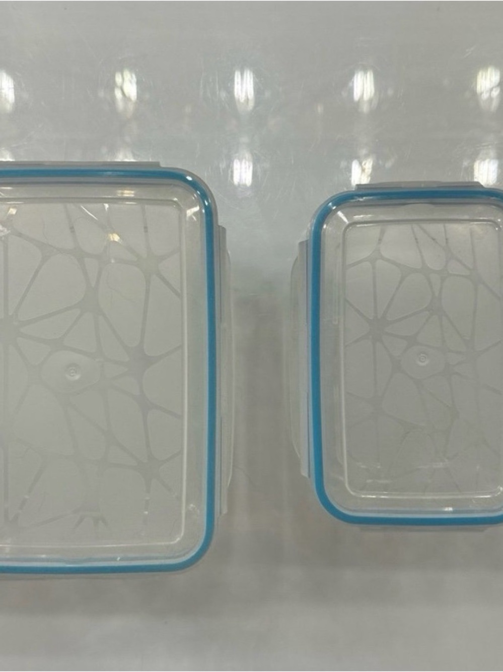 Set of 2 Clear Food Storage Containers with Blue Lids (Ready To Ship)